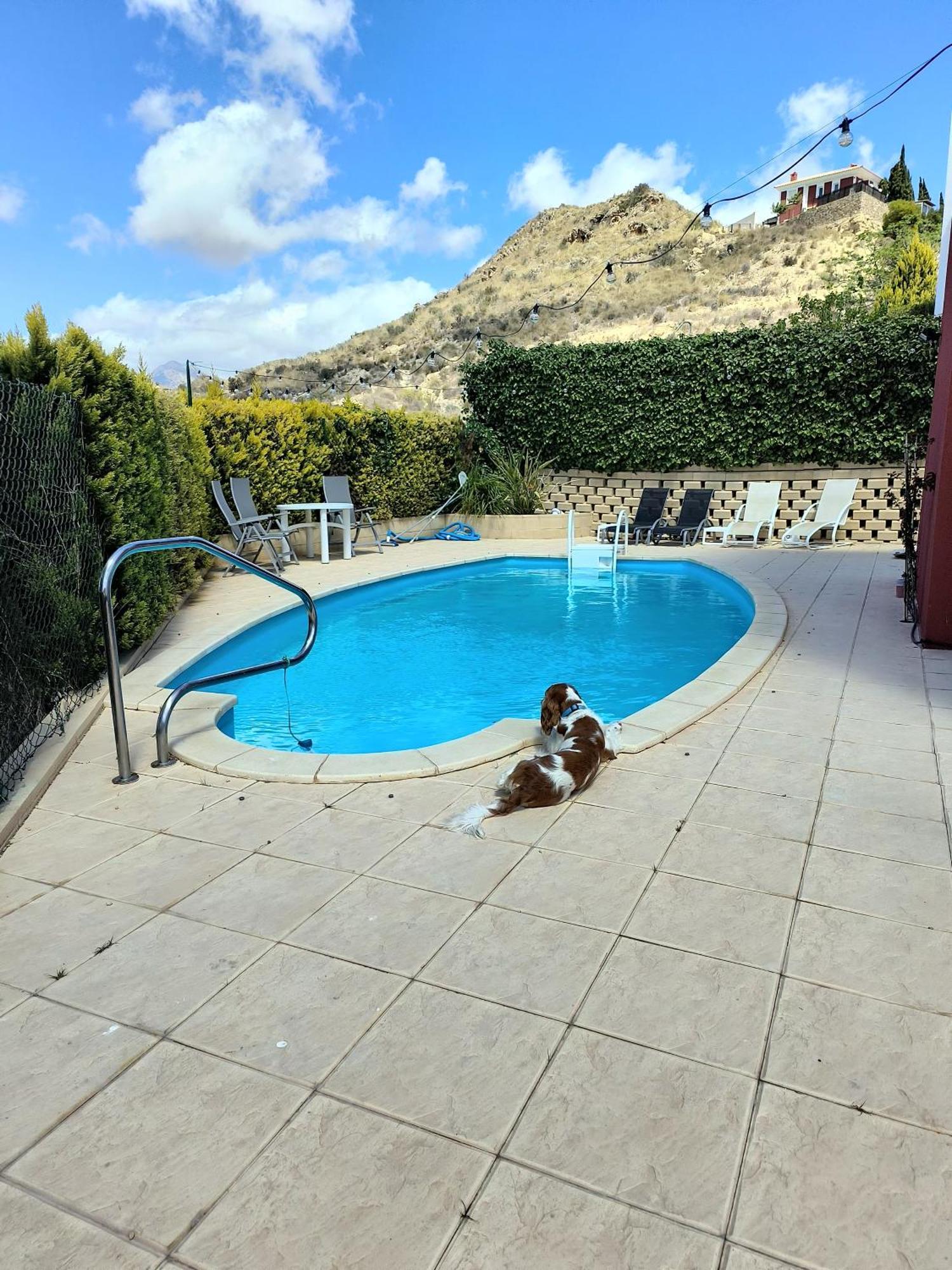 Villa Alicante - Bonalba Golf มุทชาเมล ภายนอก รูปภาพ